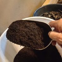 justwormz-sacramento-sustainability-worm-castings Worm castings from JustWormz in Sacramento, promoting sustainable gardening and soil enrichment.